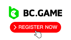 Embark on an Exciting Journey with BC CO Casino